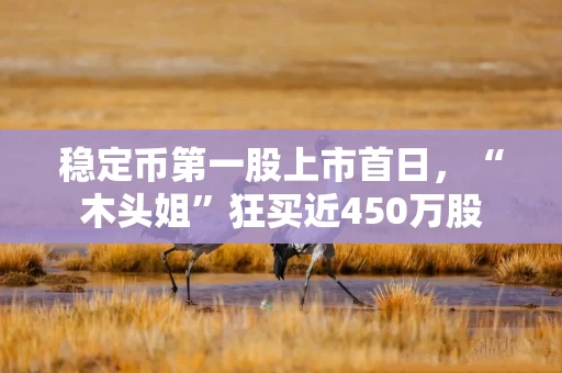 稳定币第一股上市首日，“木头姐”狂买近450万股