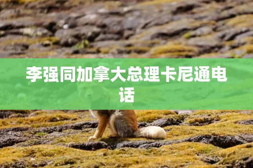 李强同加拿大总理卡尼通电话