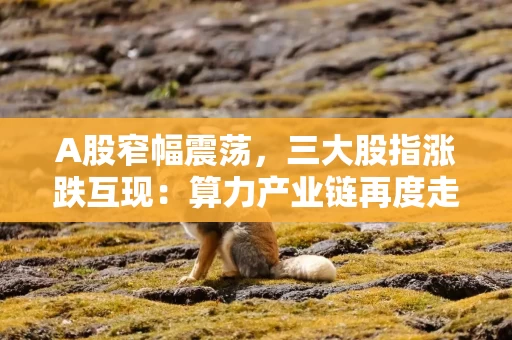 A股窄幅震荡，三大股指涨跌互现：算力产业链再度走强，两市成交超1.1万亿元