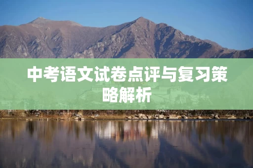 中考语文试卷点评与复习策略解析