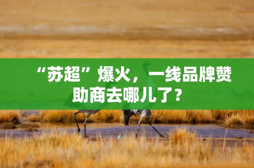 “苏超”爆火，一线品牌赞助商去哪儿了？
