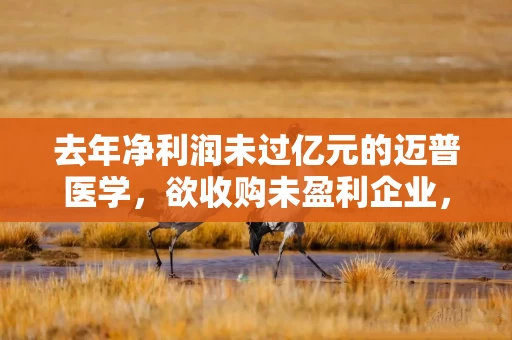 去年净利润未过亿元的迈普医学，欲收购未盈利企业，股价复牌后大跌