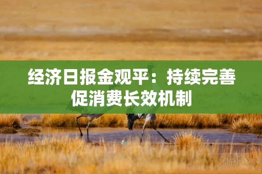 经济日报金观平：持续完善促消费长效机制