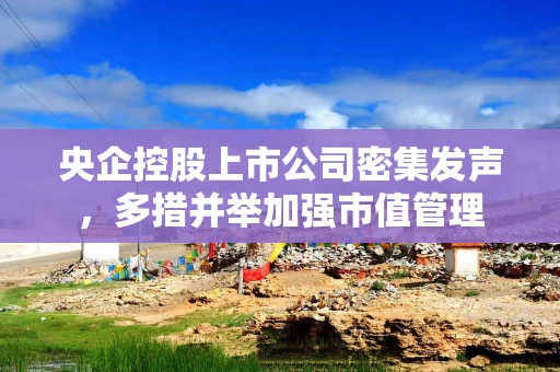 央企控股上市公司密集发声，多措并举加强市值管理