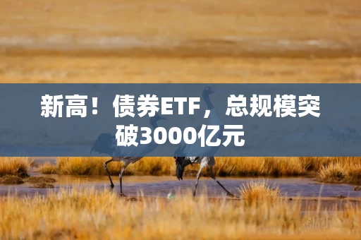 新高！债券ETF，总规模突破3000亿元