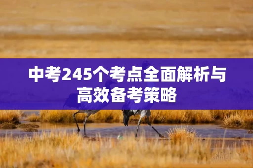 中考245个考点全面解析与高效备考策略