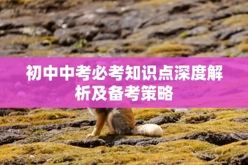 初中中考必考知识点深度解析及备考策略