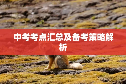中考考点汇总及备考策略解析