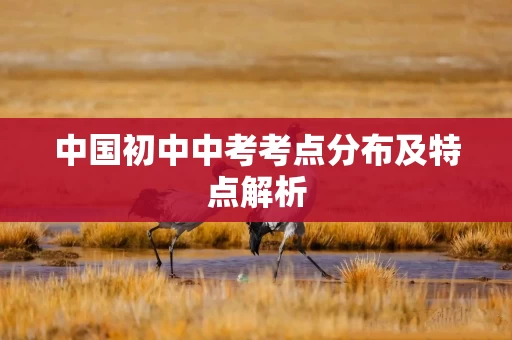 中国初中中考考点分布及特点解析