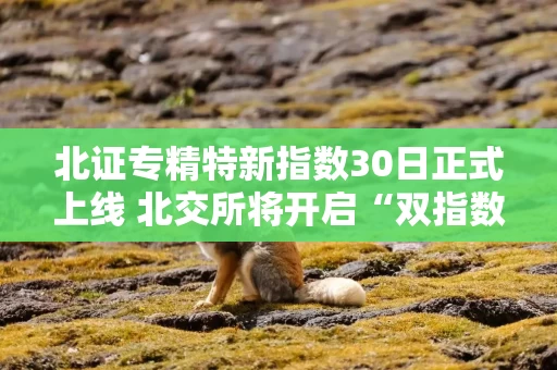 北证专精特新指数30日正式上线 北交所将开启“双指数”时代