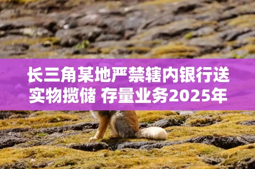长三角某地严禁辖内银行送实物揽储 存量业务2025年底前退出