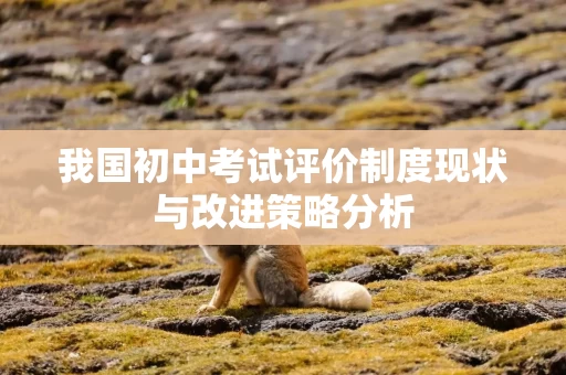 我国初中考试评价制度现状与改进策略分析