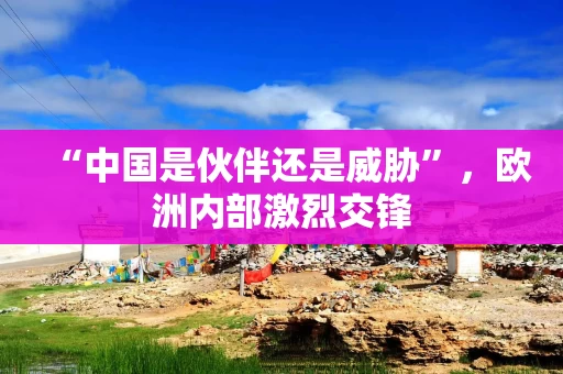 “中国是伙伴还是威胁”，欧洲内部激烈交锋