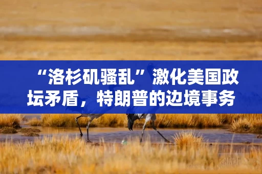 “洛杉矶骚乱”激化美国政坛矛盾，特朗普的边境事务主管改口！