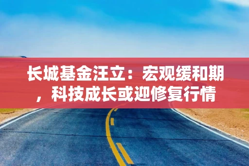 长城基金汪立：宏观缓和期，科技成长或迎修复行情