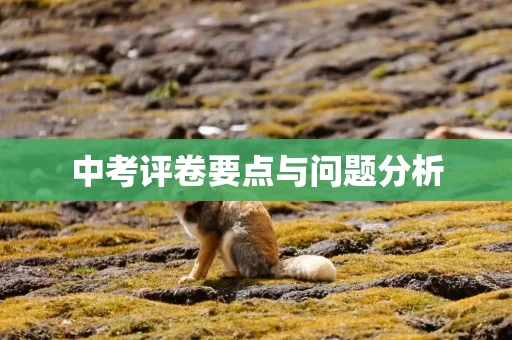 中考评卷要点与问题分析
