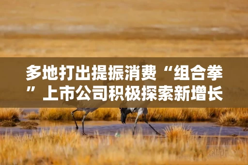 多地打出提振消费“组合拳”上市公司积极探索新增长空间