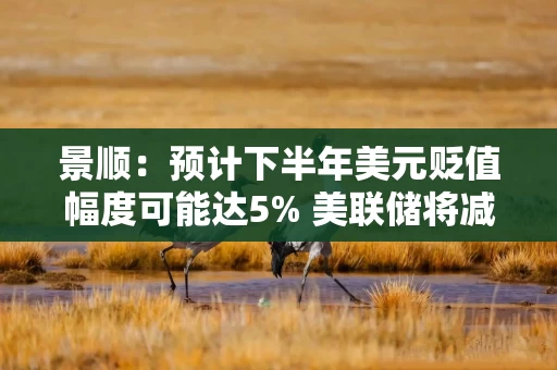 景顺：预计下半年美元贬值幅度可能达5% 美联储将减息两至三次