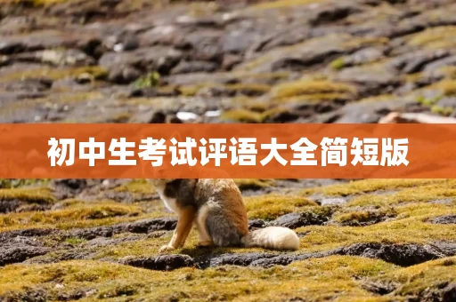 初中生考试评语大全简短版