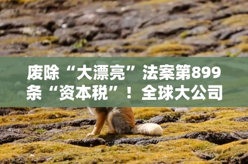 废除“大漂亮”法案第899条“资本税”！全球大公司高管本周齐聚华盛顿游说美国国会