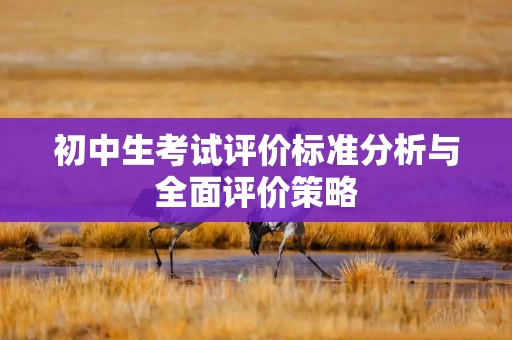 初中生考试评价标准分析与全面评价策略