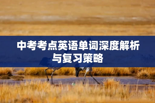 中考考点英语单词深度解析与复习策略