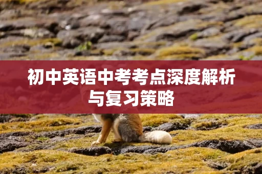 初中英语中考考点深度解析与复习策略