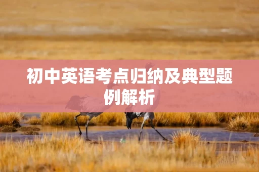初中英语考点归纳及典型题例解析