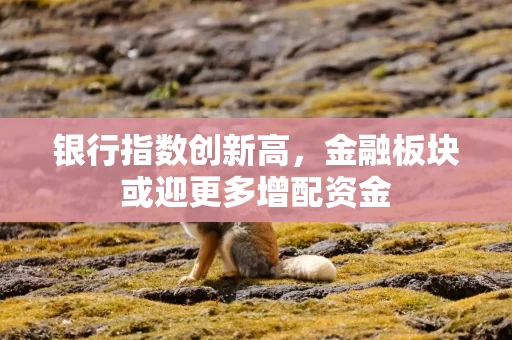 银行指数创新高，金融板块或迎更多增配资金