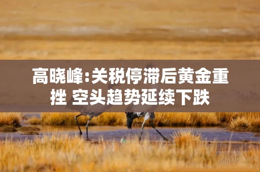 高晓峰:关税停滞后黄金重挫 空头趋势延续下跌