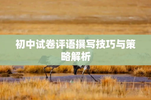 初中试卷评语撰写技巧与策略解析