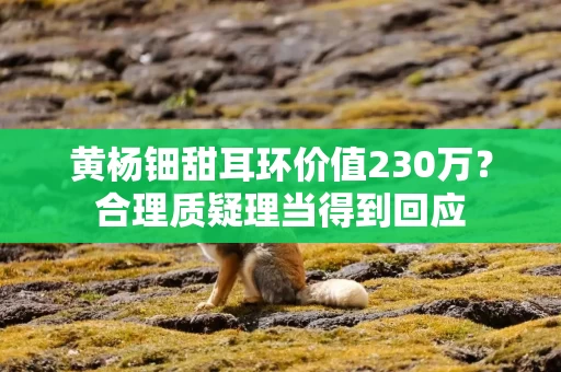 黄杨钿甜耳环价值230万？合理质疑理当得到回应