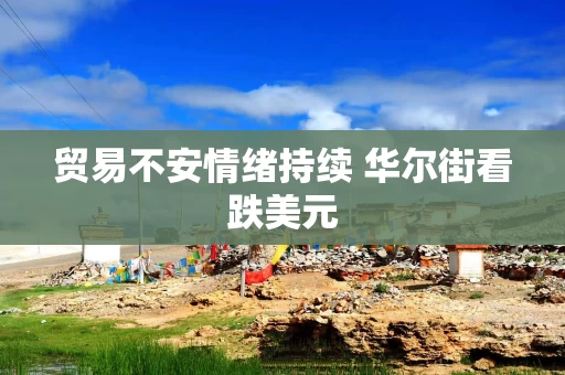 贸易不安情绪持续 华尔街看跌美元