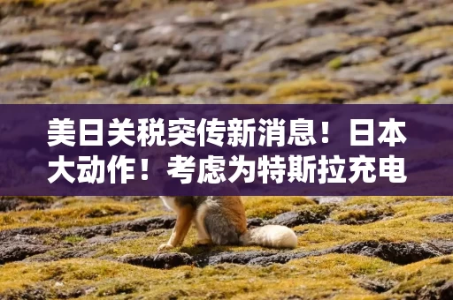 美日关税突传新消息！日本大动作！考虑为特斯拉充电站提供补贴？