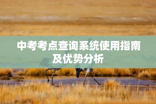 中考考点查询系统使用指南及优势分析