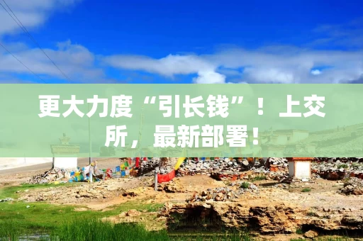更大力度“引长钱”！上交所，最新部署！