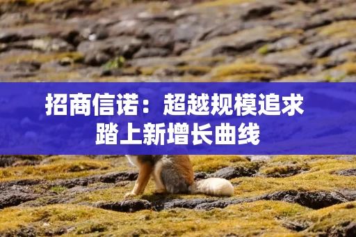 招商信诺：超越规模追求 踏上新增长曲线