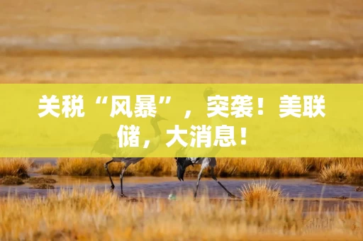 关税“风暴”，突袭！美联储，大消息！