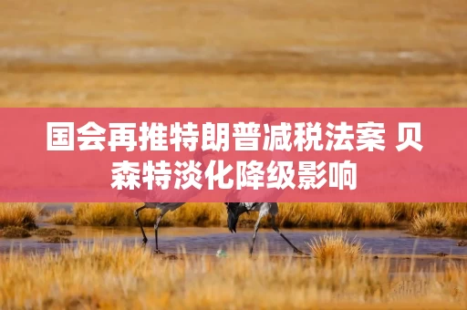 国会再推特朗普减税法案 贝森特淡化降级影响