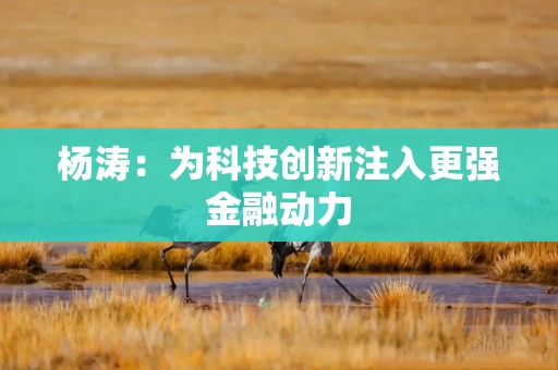 杨涛：为科技创新注入更强金融动力