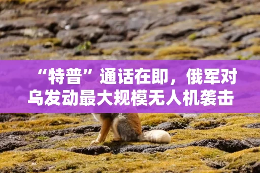 “特普”通话在即，俄军对乌发动最大规模无人机袭击！