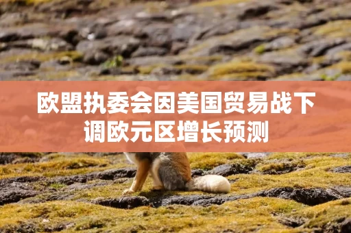 欧盟执委会因美国贸易战下调欧元区增长预测