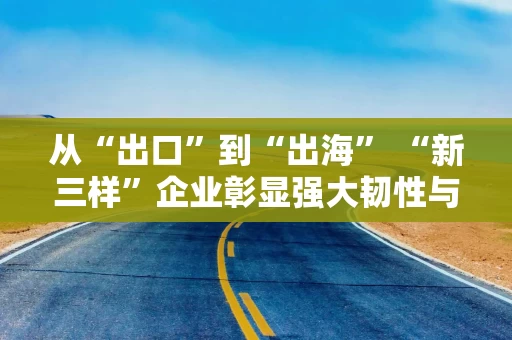 从“出口”到“出海” “新三样”企业彰显强大韧性与国际竞争力