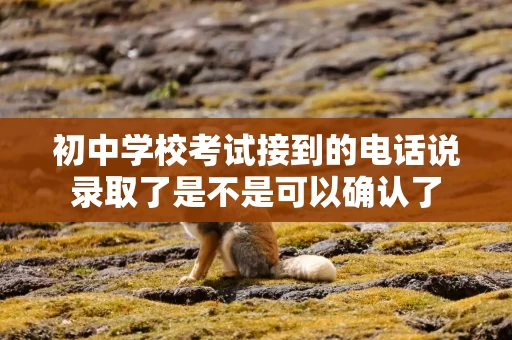 初中学校考试接到的电话说录取了是不是可以确认了