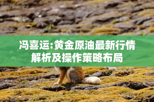 冯喜运:黄金原油最新行情解析及操作策略布局
