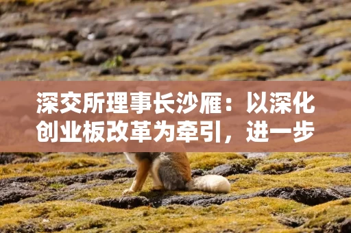 深交所理事长沙雁：以深化创业板改革为牵引，进一步完善发行上市、并购重组等制度机制
