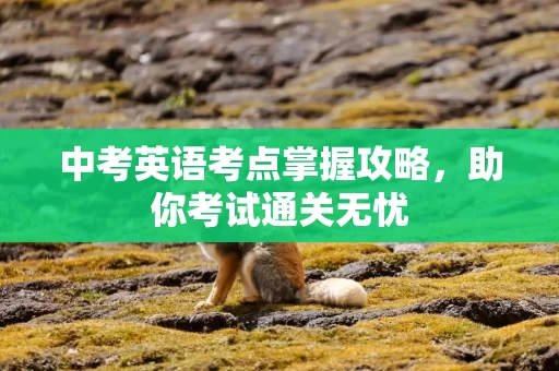 中考英语考点掌握攻略，助你考试通关无忧