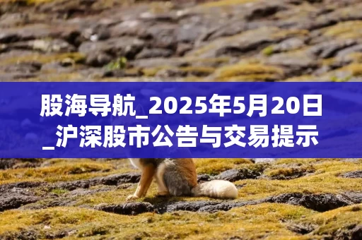 股海导航_2025年5月20日_沪深股市公告与交易提示