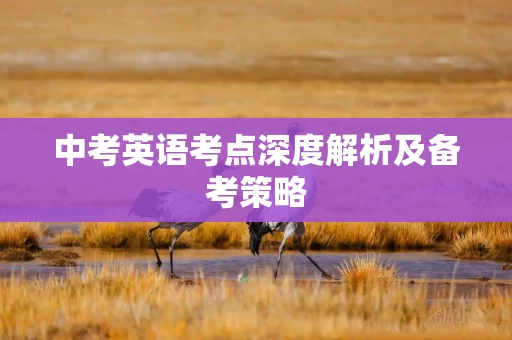 中考英语考点深度解析及备考策略