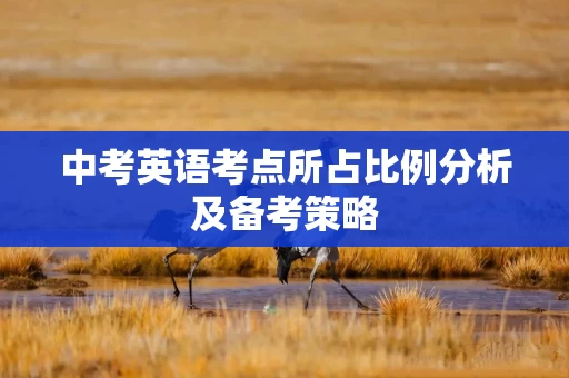 中考英语考点所占比例分析及备考策略